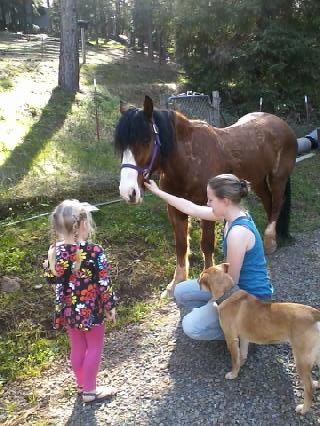 downsized_0315141533a